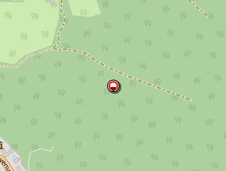 Carte de Bar Alexandre à Eyzies-de-tayac-sireuil (les)