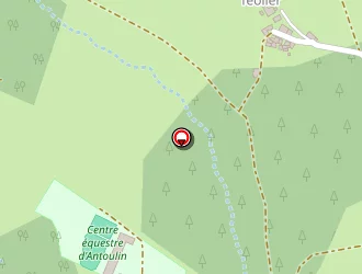 Carte de Centre Equestre D'antoulin à Champis