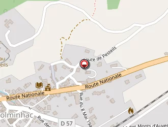 Carte de Rychen-bordas à Polminhac