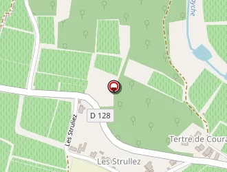 Carte de Ravat Alyssa à Saillans