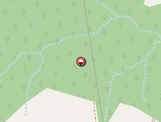 Carte de Estrela à Cornas