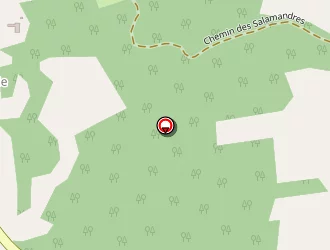 Carte de Vrsn à Salignac-eyvigues