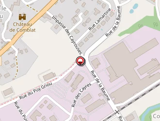 Carte de Prat Hubert à Vic-sur-cère