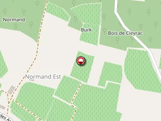 Carte de Raud Pierre à Villegouge