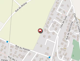 Carte de E-label à Saint-marcel-lès-valence