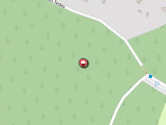 Carte de Camping Du Tedey à Lacanau