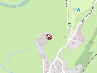 Carte de Delbert Geneviève à Vic-sur-cère