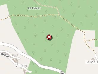 Carte de Roumejon Eric à Lamastre