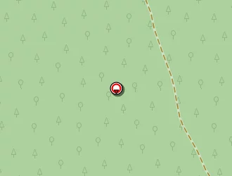 Carte de Tardy Mickaël à Avensan