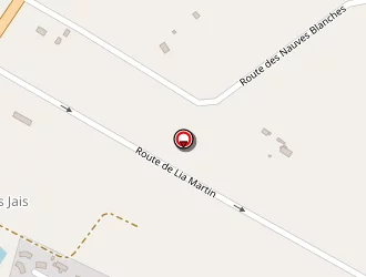 Carte de Lepine Jacques à Saint-denis-de-pile