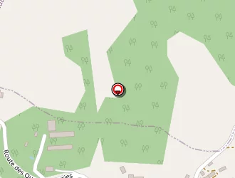 Carte de Delpy Thierry à Borrèze