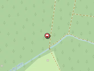 Carte de Conscience Dauphins à Lacanau