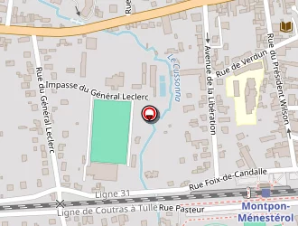 Carte de Zintchouk Serghiy à Montpon-ménestérol