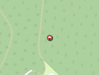 Carte de Hélé Eric à Lacanau