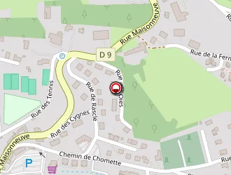 Carte de Dumas Michel à Saint-agrève