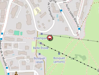 Carte de Chez Le Gaulois (valep) à Mont-de-lans