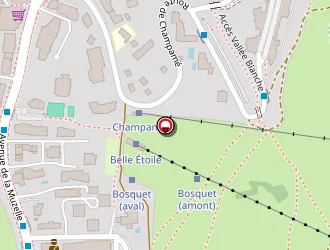 Carte de Pub Windsor à Deux alpes (les)