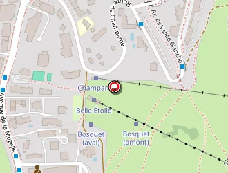 Carte de Le Rouge Et Le Noir à Deux alpes (les)