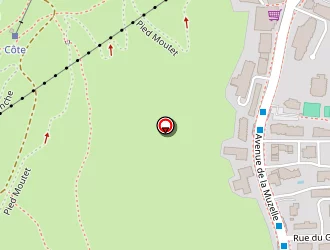 Carte de Cic à Deux alpes (les)