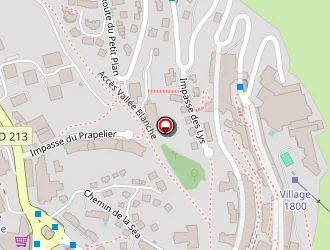 Carte de Crepin Stéphane à Mont-de-lans