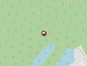 Carte de A.p.j.p. à Lacanau