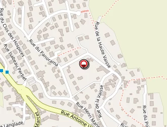 Carte de Soligny Eric à Puy-en-velay (le)