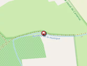 Carte de Nelsols Aquitaine à Cantenac