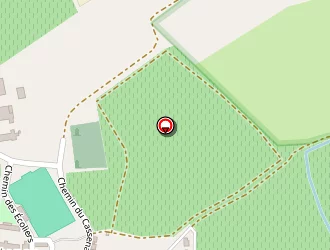 Carte de Chevreau Patrick à Cantenac