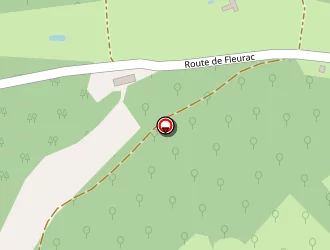 Carte de Delrieux Henri à Plazac