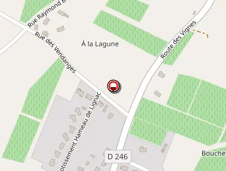 Carte de Rapin Benjamin à Saint-genès-de-fronsac