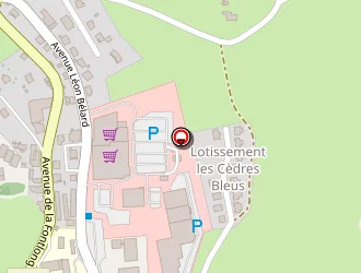 Carte de Gymnases à Saint-flour