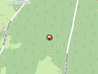 Carte de Calloud Vincent à Saint-julien-chapteuil