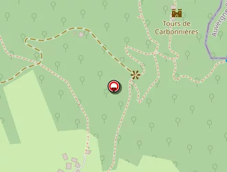 Carte de Vandendaele Michèle à Goulles