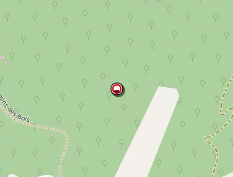 Carte de Dureuil Thibaut à Rochechinard