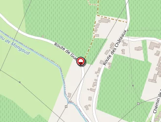 Carte de Gomes Vitor à Tauriac