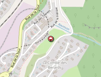 Carte de Ayraud Patrick à Saint-georges-de-commiers