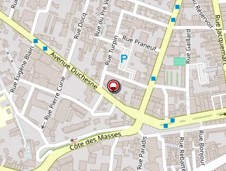 Carte de Buzzarello Brigitte à Romans-sur-isère