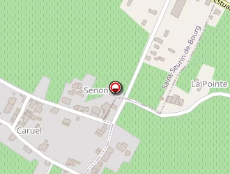 Carte de Feillon Eric à Saint-seurin-de-bourg