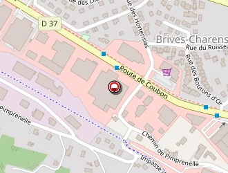 Carte de Zolpan Dancer à Brives-charensac