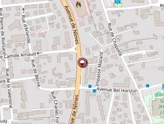 Carte de Engelvin Luc à Tournon-sur-rhône