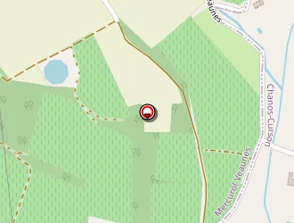 Carte de Jay Daniel à Chanos-curson