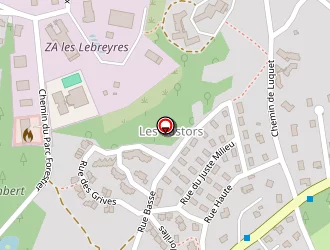 Carte de Guinet Philippe à Chambon-sur-lignon (le)