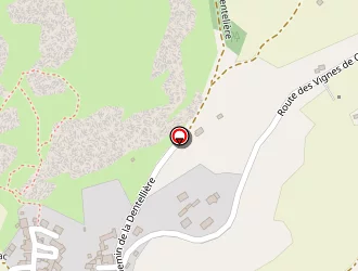 Carte de Marcon Cédric à Polignac