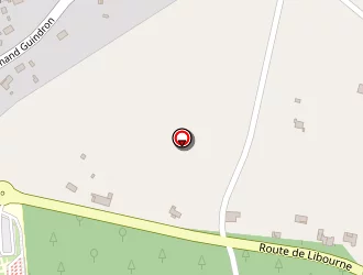 Carte de Lion à Marsas