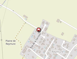 Carte de Gestalt Thérapeute à Vif