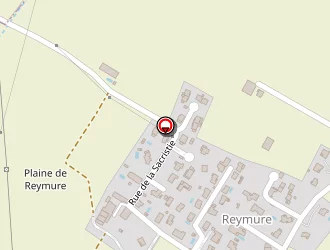 Carte de Esprit Parquet à Vif