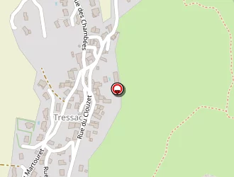 Carte de Garage Féminier Eric à Polignac