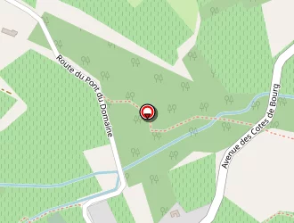 Carte de Mairie à Samonac