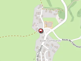 Carte de Audeyer à Villard-de-lans