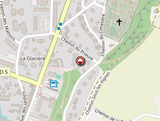 Carte de Delahaye Guy à Vizille